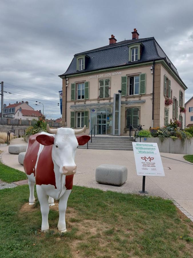 Appart' Duchatelain Lumineux, Vue Sur Chateau Montbéliard Esterno foto